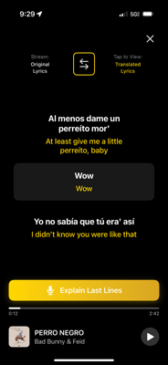 DuaLyric App Screenshot showing synchronized lyrics with translations